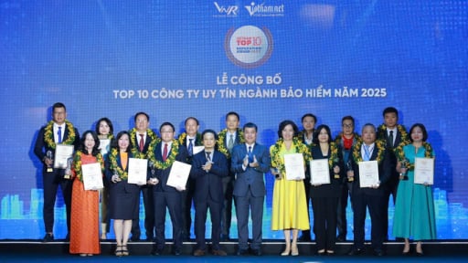 OPES lọt Top 10 công ty bảo hiểm phi nhân thọ uy tín nhất Việt Nam 2025 do Vietnam Report công bố