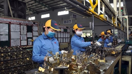 Tích hợp công cụ cải tiến và hệ thống quản lý: Bước đệm trong chuyển đổi số doanh nghiệp