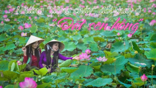 Những 'dòng chảy' đổi thay ở 'Đất sen hồng'