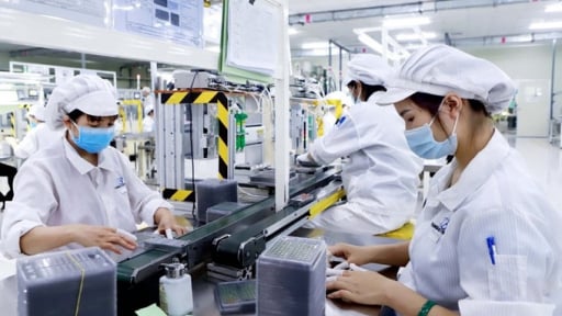 Khoa học công nghệ tạo động lực tăng trưởng năng suất cho doanh nghiệp Đồng Tháp