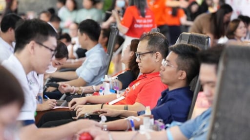 Giọt thương 2025: CBNV ROX Group chung tay hiến máu, lan tỏa giá trị sống đẹp