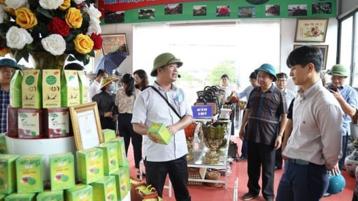 Hà Nội gắn kết sản phẩm OCOP với phát triển du lịch