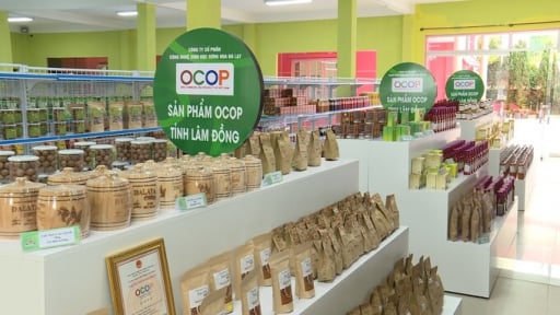 5S - giải pháp nâng tầm năng suất, giảm chi phí cho sản phẩm OCOP