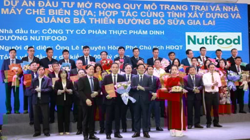 Nutifood tăng đầu tư thêm 6.000 tỷ đồng mở rộng trang trại và nhà máy tại Gia Lai