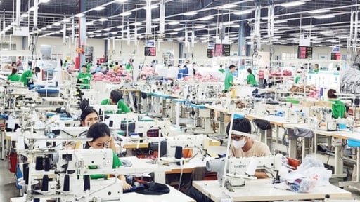 TP. Huế hỗ trợ doanh nghiệp nâng cao năng suất và chất lượng