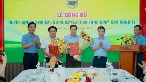 Bình Điền tăng cường đội ngũ lãnh đạo cấp cao cho giai đoạn phát triển mới