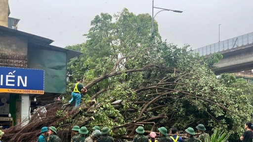 Cuộc sống người dân Hà Nội sớm ổn định sau bão