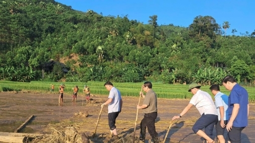 Thủ tướng chỉ đạo tập trung triển khai các biện pháp phục hồi sản xuất nông nghiệp sau bão số 3 và mưa lũ