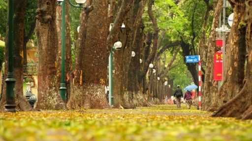 70 năm văn hoá Hà Nội: Yêu từng con đường, góc phố, tiếng rao đêm...