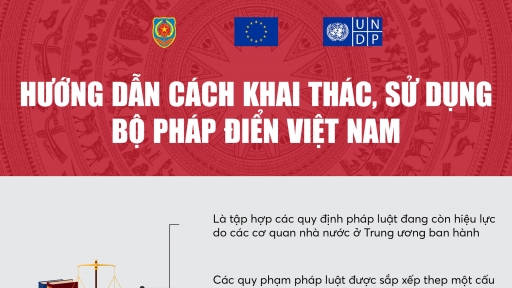 INFOGRAPHICS: Cách khai thác, sử dụng Bộ Pháp điển Việt Nam