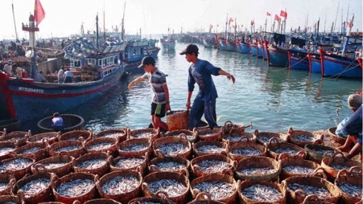 Ngành thủy sản hướng tới mục tiêu giảm khai thác, tăng nuôi trồng