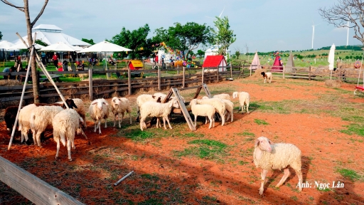 Điểm du lịch cộng đồng trở thành sản phẩm OCOP