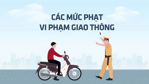 Những lỗi vi phạm giao thông thường gặp và mức phạt mới áp dụng từ 1/1/2025