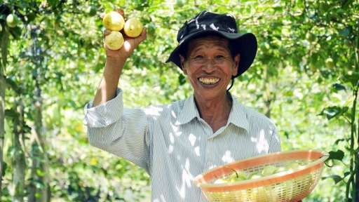 Ông nông dân bỏ túi cả tỷ đồng mỗi năm nhờ cây 'siêu trái' lại dễ lai tạo, trồng một lần thu hoạch tận 10 năm