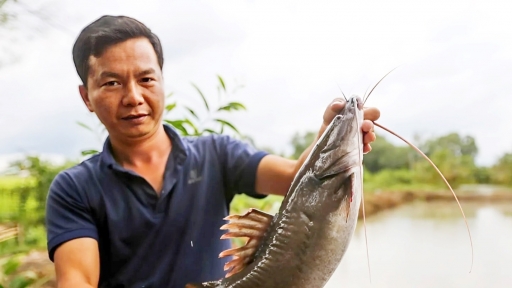 Mạnh dạn đầu tư nuôi loài “thủy quái” vừa ngon vừa đẹp, anh nông dân bỏ túi gần nửa tỷ đồng/năm rất nhẹ nhàng