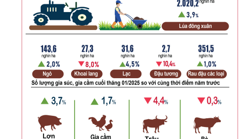 Tình hình kinh tế - xã hội tháng 1/2025