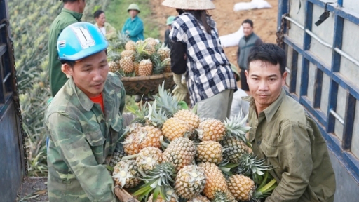 Trồng loại quả “vua nhiệt đới”, bên ngoài gai góc bên trong thơm phức, ông nông dân bỏ túi 9 tỷ đồng/năm