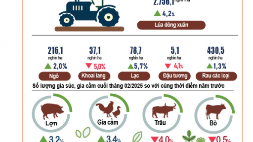 Tình hình kinh tế - xã hội tháng 2 và 2 tháng đầu năm 2025