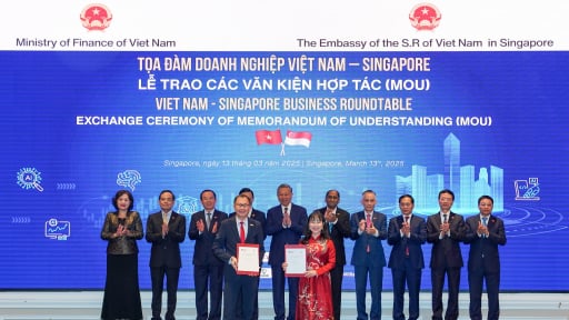 Trường Đại học VinUni và Đại học NTU – Singapore ký kết hợp tác liên minh chiến lược