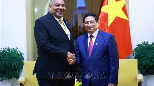 Thủ tướng Phạm Minh Chính tiếp Bộ trưởng Ngoại giao và hợp tác Đông Phi của Tanzania