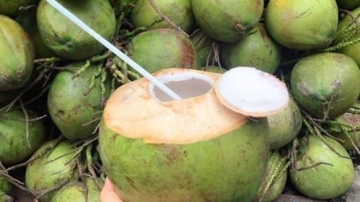Dừa tươi tăng giá gấp đôi vì nắng nóng