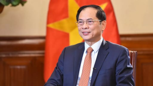 Phó Thủ tướng, Bộ trưởng Ngoại giao Bùi Thanh Sơn trả lời phỏng vấn báo chí Kazakhstan