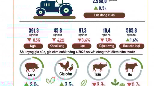 Tình hình kinh tế - xã hội tháng 4 và 4 tháng đầu năm 2025