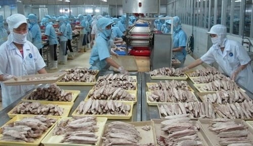Nhiều cơ hội đẩy mạnh xuất khẩu cá ngừ sang Nga