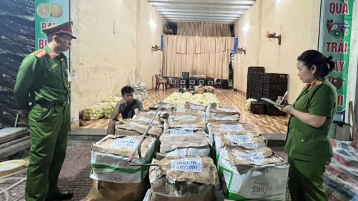 Sơn La: Phát hiện 300 kg rau, củ nhiễm hóa chất
