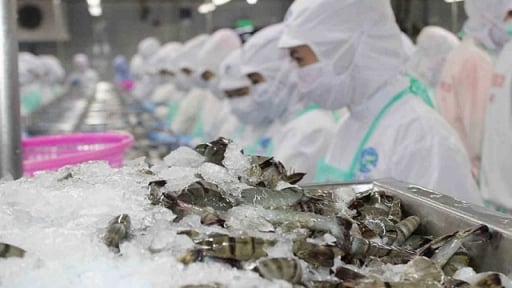 Xuất khẩu thủy sản ghi nhận sự phục hồi mạnh mẽ