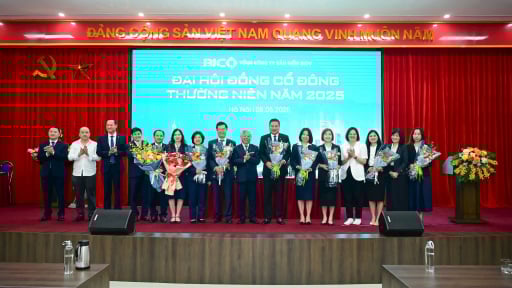 ĐHĐCĐ BIC: Đặt mục tiêu lãi 710 tỷ, tăng vốn khủng thêm 72%