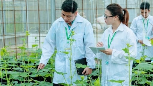 Ngành học không lo thất nghiệp nhưng ít người lựa chọn, ra trường 'hái ra tiền', thị trường luôn khát nhân lực