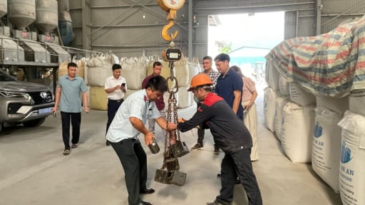 Kết quả kiểm tra nhà nước về đo lường đối với các loại cân trên địa bàn tỉnh Bắc Kạn
