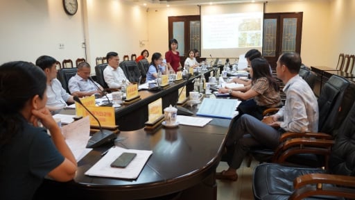 Xây dựng mô hình sản xuất giống chuối tiêu hồng, chuối già Nam Mỹ nuôi cấy mô theo quy trình VietGAP phục vụ tiêu thụ nội địa và chế biến xuất khẩu tại Hải Phòng