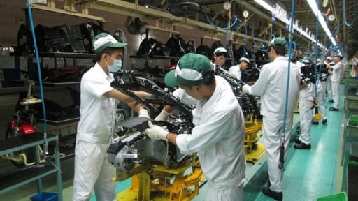 Kế hoạch hành động của Chính phủ về phát triển kinh tế tư nhân