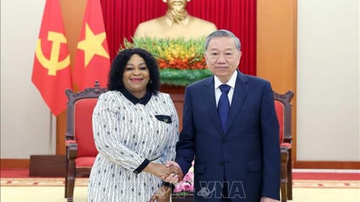 Tổng Bí thư Tô Lâm tiếp Phó Tổng Thư ký thứ nhất Đảng Đại hội Dân tộc Phi