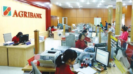 Agribank đặt mục tiêu lãi tăng từ 3-5% trong năm 2025