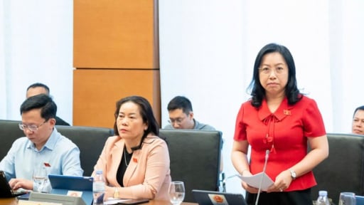 Đại biểu Quốc hội bức xúc vì cả chợ Ninh Hiệp bán công khai hàng giả, hàng nhái, cơ quan chức năng ở đâu?
