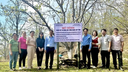 Kết quả thực hiện Đề tài KH&CN cấp tỉnh “Nghiên cứu ứng dụng các giải pháp khoa học công nghệ phát triển sản xuất giống lê nâu bản địa tại huyện Na Hang”
