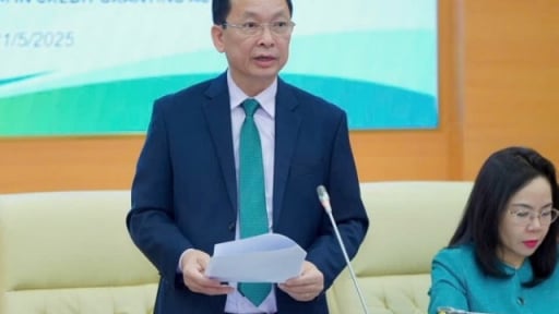 NHNN: Tín dụng xanh đang có sự phát triển mạnh mẽ