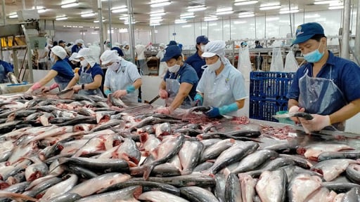 Doanh nghiệp thủy sản và cuộc chuyển mình với tiêu chuẩn ASC