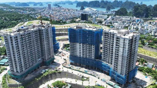 Chủ tịch VNREA: Cần khơi thông nguồn vốn cho nhà ở xã hội