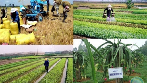 Từ đồng ruộng đến công nghệ cao: Nghị quyết 68 mở đường cho nông nghiệp thông minh