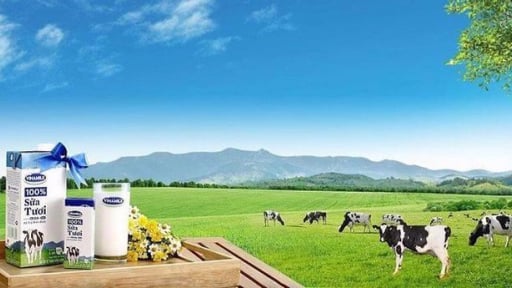 ISO 50001 trở thành chìa khóa vàng nâng cao hiệu quả năng lượng và năng suất doanh nghiệp
