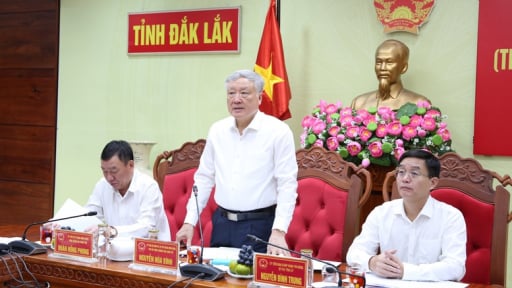Đắk Lắk tập trung giải quyết dứt điểm các vụ việc khiếu nại, tố cáo phức tạp, kéo dài trước 30/6