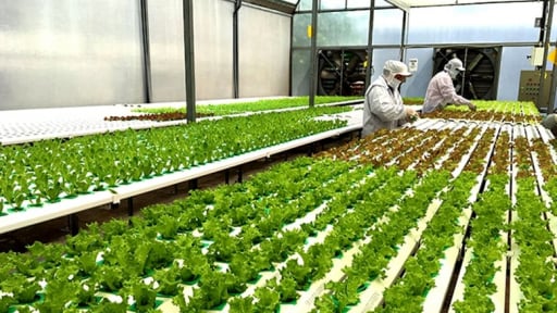 Bổ sung chính sách tín dụng khuyến khích nông nghiệp hữu cơ, tuần hoàn