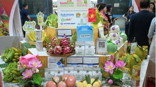 Áp dụng các tiêu chuẩn nông nghiệp bền vững để nâng cao khả năng tiếp cận thị trường nước ngoài