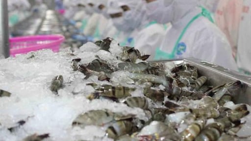 5 tháng đầu năm, xuất khẩu thủy sản đạt trên 4,34 tỷ USD
