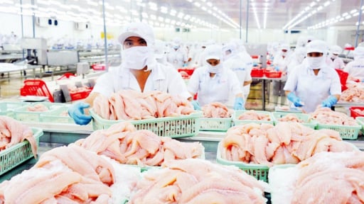 Mỹ miễn thuế chống bán phá giá cho 7 doanh nghiệp cá tra Việt Nam