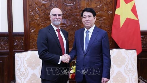 Chủ tịch nước Lương Cường tiếp Đại sứ Canada và Iran